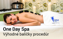Výhodné balíčky One Day Spa