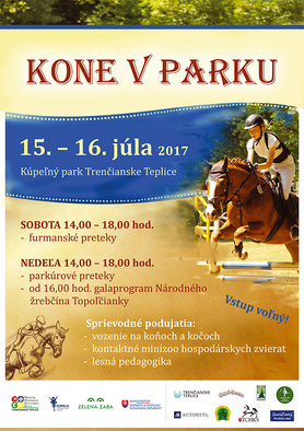 Kone v parku - furmanské preteky