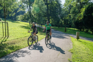 Bicykle v parku Bicykle v parku